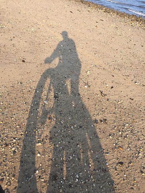 Rider's Shadow