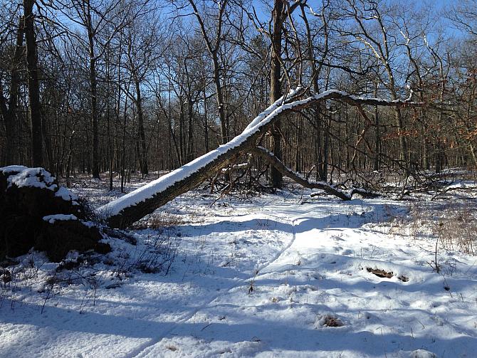 Brookhaven State Park 3