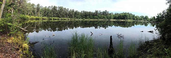 Pond west of Lakeside Trail 2