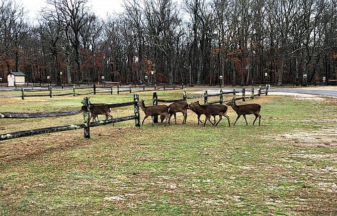 Early Attendees at Bill's Ride