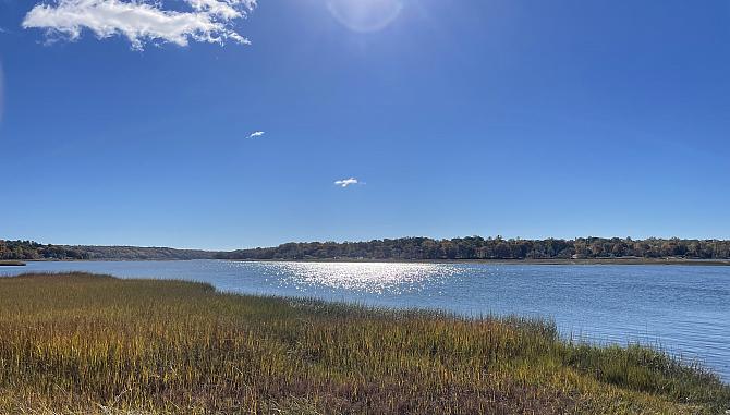 nissequogue river