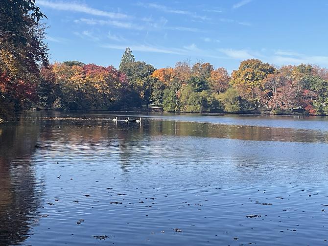 Belmont lake1