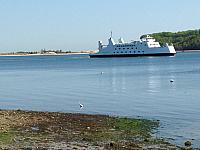 Egret & Ferry