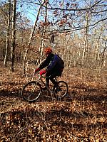 Steve Thru the Oak Maze