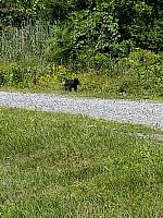 Harriman Parking Lot Visitor