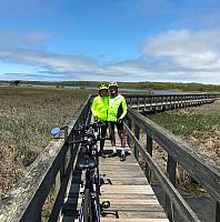 Meadow Lane Boardwalk