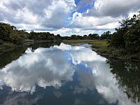 NYBC 8 Sunken Meadow