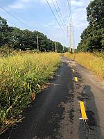 Bike Path in Wading River Headed West
